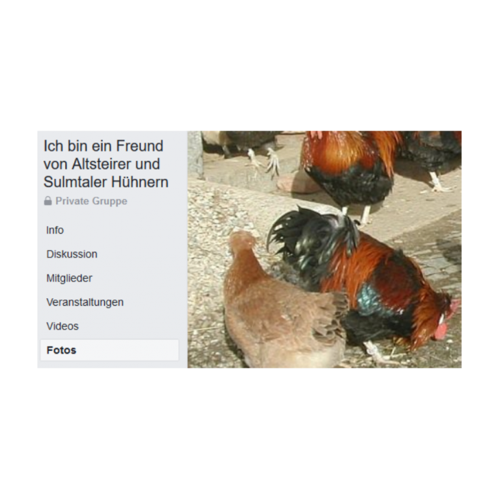 Facebook Gruppe - Ich bin ein Freund von Altsteirer und Sulmtaler Hühnern