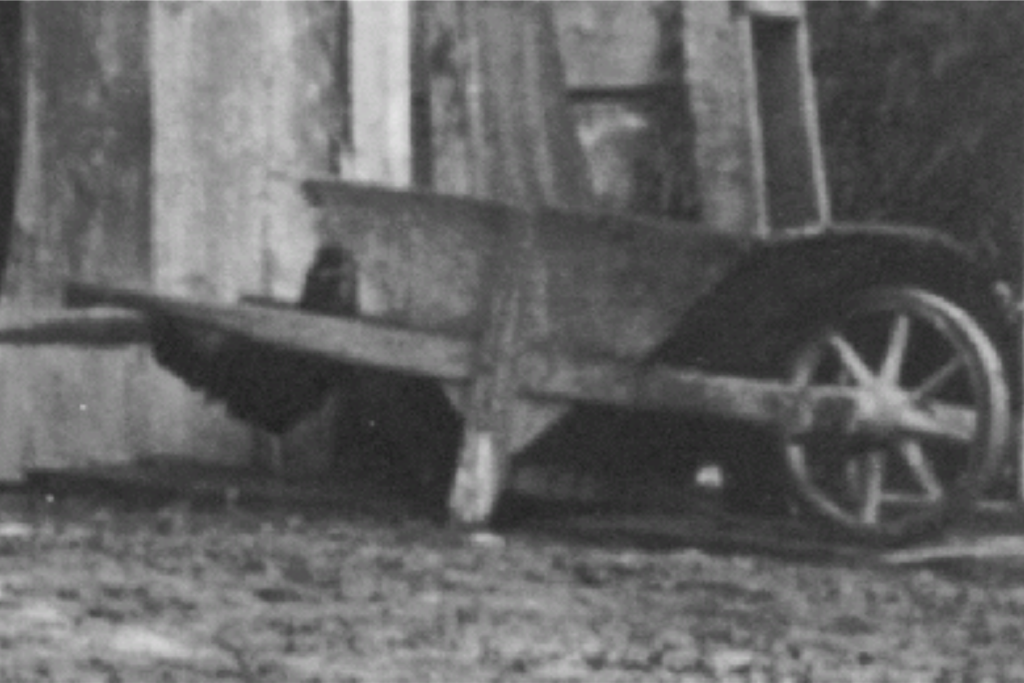 Spitzhauben Henne  - in Diplomarbeit von Siegfried Drexel, Fotoausschnitt