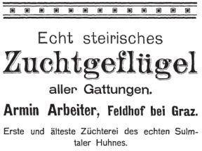 Inserat Armin Arbeiter 1908